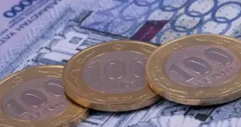 Не только деньги: Минтруда пообещало казахстанцам новый вид поддержки, помимо выплат