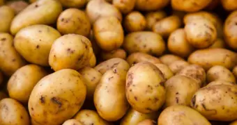 Картофельный ультиматум: в Казахстане «второй хлеб» будут продавать на бирже - как нефть