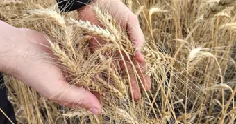 Как блокада Ормузского пролива отразится на ценниках в магазинах Казахстана