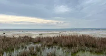 Почему трясёт Каспий — эксперт объяснил причину участившихся землетрясений