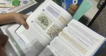 Школьников перевели на дистанционку в одном из районов Мангистау