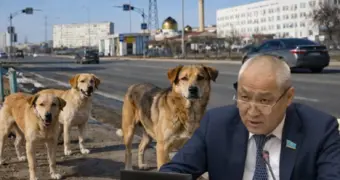 Видео в поддержку и петиции против: скандалом обернулась инициатива депутата от Мангистау об убийстве животных
