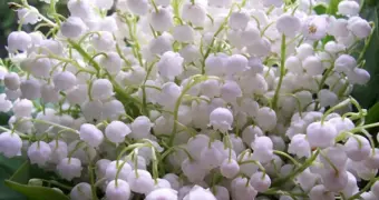 Майский зной или климатическая аномалия: синоптики предупредили Казахстан о «пекле» +44 градуса