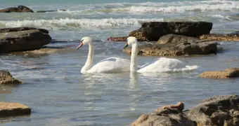 Стихия накрывает Казахстан: в 15 регионах объявили ухудшение погоды