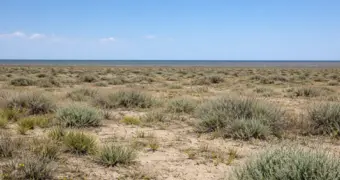 После непогоды в Мангистау дроны ищут пропавший скот