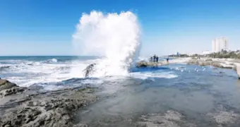 Раскрыты подробности масштабного экологического проекта по Каспийскому морю