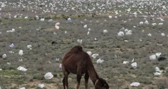 Усеянную мусором степь снял на видео блогер из Актау