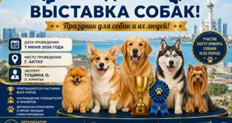 Городская выставка собак!