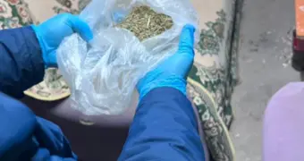 Житель Форт-Шевченко выращивал коноплю в подвале дома