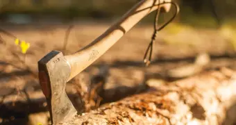 Жила с телом под кроватью: казахстанке вынесли приговор по шокирующему делу об убийстве