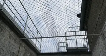 Трамп ужесточает наказания: в США ускорят смертные казни и разрешат расстрел