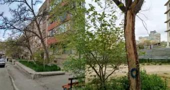 Житель Актау уже год не может добиться спила сухостоя