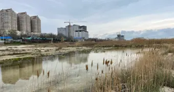 А если море вернется? Ученый из Баку предупредил о рисках застройки побережья Каспия