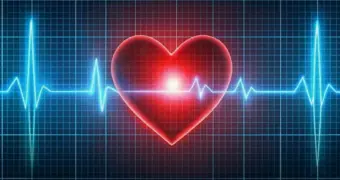 Почему опухоли обходят сердце стороной: найден ключевой фактор