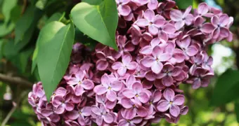 О погоде в мае рассказали синоптики Мангистау