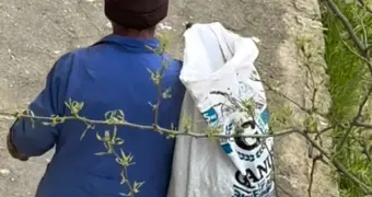 Жители 4 микрорайона Актау пожаловались на вырубку зеленых насаждений