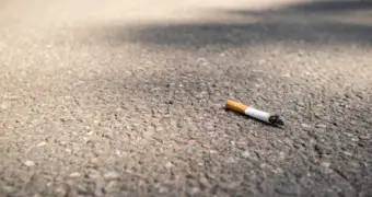 Жителя Шетпе наказали общественными работами за выброшенный окурок