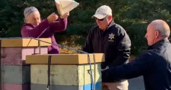 Женщина выпустила рой пчел на полицию, пытаясь спасти друга от выселения