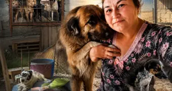 «Отзовитесь, добрые люди!»: хозяйка приюта для животных в Актау в отчаянии просит помощи