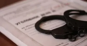Отстрел собак в Акшукуре - возбуждено уголовное дело