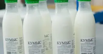Водителей в Казахстане предупредили о риске лишиться прав на 7 лет из-за магазинного кумыса