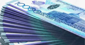 До 1,7 млн тенге без возврата и кредитов: кто из казахстанцев попал под новую волну господдержки?