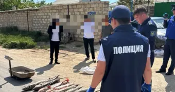 Двойной «улов»: вблизи Актау полицейские изъяли осетров и гашиш