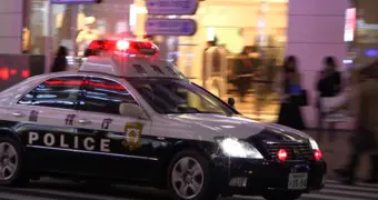 В Японии человека растерзало неизвестное животное