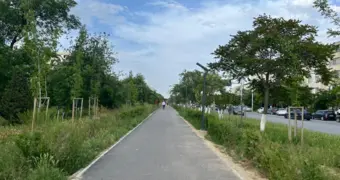 В Актау начался поливочный сезон