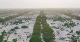Ученые поставили крест на воде в Арале, но Казахстан нашел другое, куда более шокирующее решение