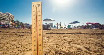 Жара, которой еще не было: неутешительный прогноз ученых на ближайшие 5 лет