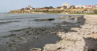 Едва не поглотила трясина - на пляже в Актау ребёнок застрял в зыбкой субстанции