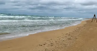 На побережье Форт-Шевченко нашли мертвых тюленей и осетров