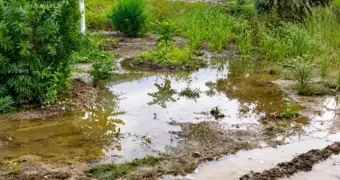 «Полтора месяца вода бьет из-под земли»: жители Актау пожаловались на затянувшуюся аварию