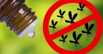 Ученые назвали единственное средство, которое реально спасает от комаров