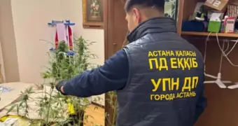 Таролог из Астаны ушла в астрал прямо во время обыска, когда полицейские открыли ее шкаф