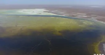 Лето с «запашком»: Актау снова накрыл запах сероводорода