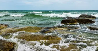 Море вернулось? Эксперт в Актау объяснил изменения уровня Каспия