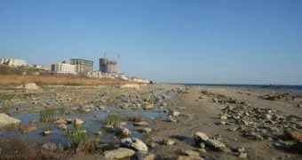 Каспий ушёл от берегов: депутат требует пересмотреть границы моря