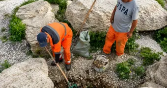 «Крылышки» после пикника: в Актау разыскивают виновных в загрязнении побережья