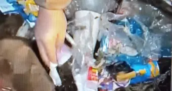 Казахстанцев начали штрафовать по чекам из выброшенных мусорных пакетов
