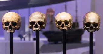 Чемодан с костями и сердце в банке: в Будапеште поймали санитара с жуткой коллекцией