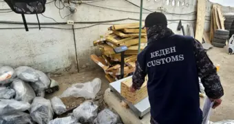 Черная метка на таможне: на какой детской ошибке «горят» поставщики в Казахстане