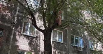 Житель Красноярска в одних трусах выпал с 4-го этажа, но так и не долетел до земли