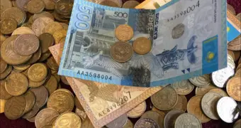 Не нужно винить Россию и Китай: экономист объяснила, почему казахстанцы затянули пояса