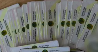 Казахстан меняет правила выдачи ВНЖ и ПМЖ: главные нововведения для иностранцев с 14 июля