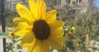 Казахстанцев призвали не выходить на улицу в самые жаркие часы дня