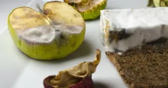 Врач предупредил, чем может закончиться употребление продуктов с плесенью