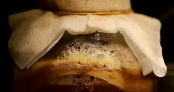 Наурыз коже с комбучей начнут выпускать в Казахстане в промышленных масштабах