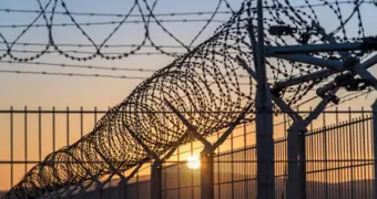 Амнистия в честь новой Конституции: сколько человек уже вышли на свободу